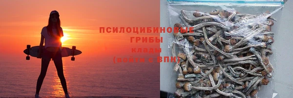 стаф Алзамай