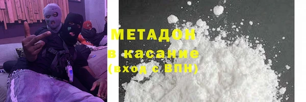стаф Алзамай