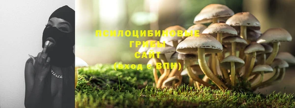 стаф Алзамай