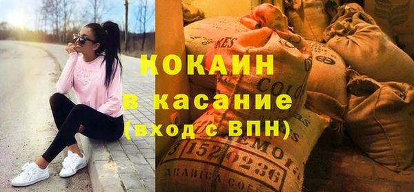 стаф Алзамай