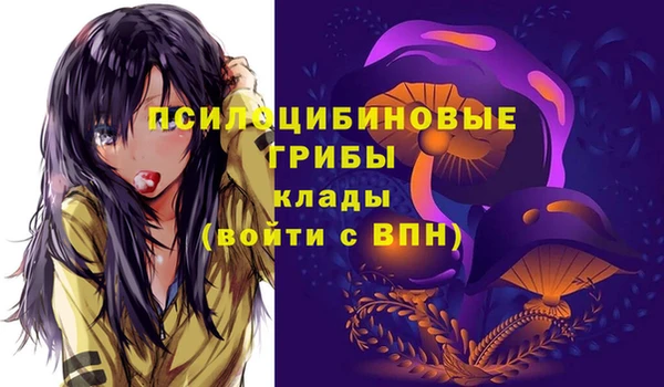 стаф Алзамай