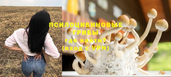 стаф Алзамай