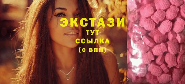 стаф Алзамай